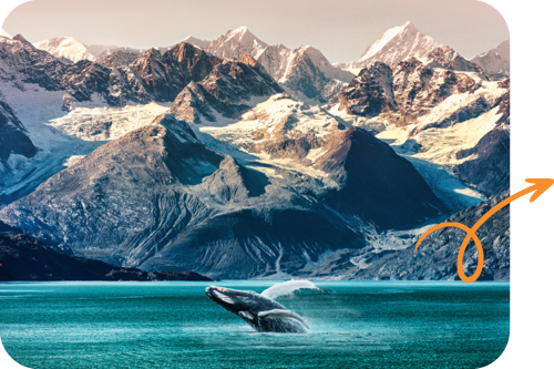 A photo of a whale breaching along a scenic Alaskan coast